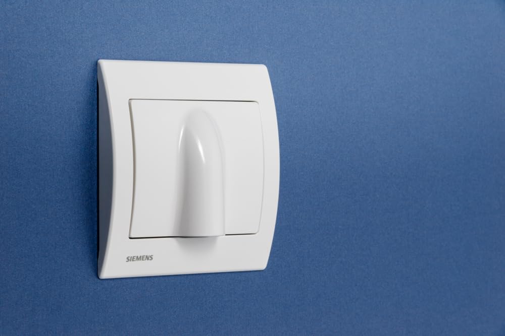Siemens Delta Iris sortie de câble blanc prise murale