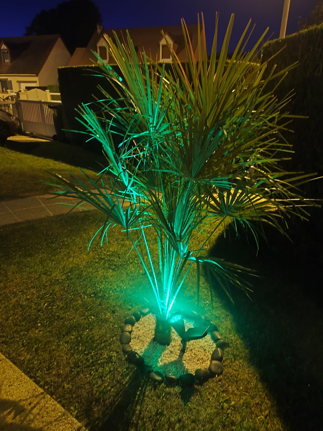T-Sun Spot Lights spot solaire vert 4 pièces IP65