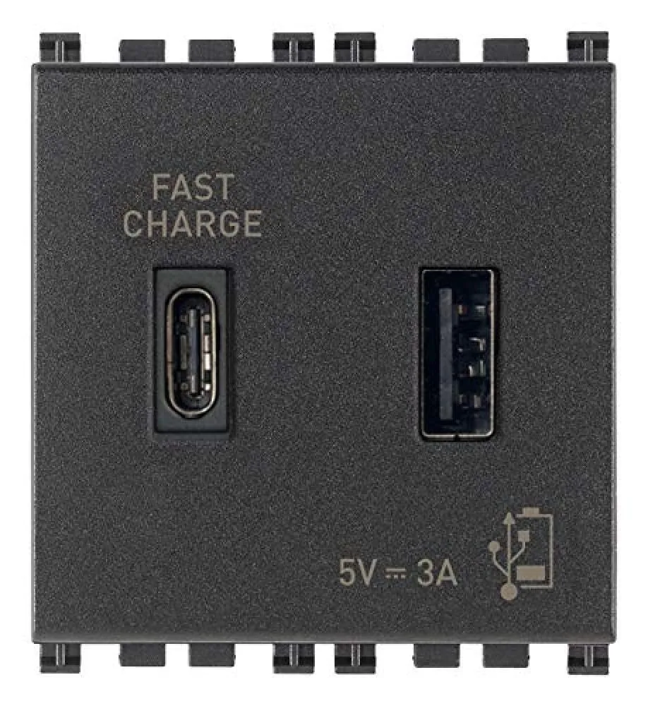 Vimar Arké 19295.AC Prise USB A+C 3A 2 modules gris