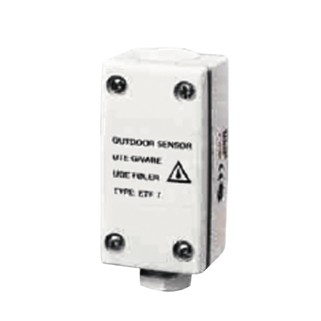 Raytech C2000-STG capteur température gouttières antigel
