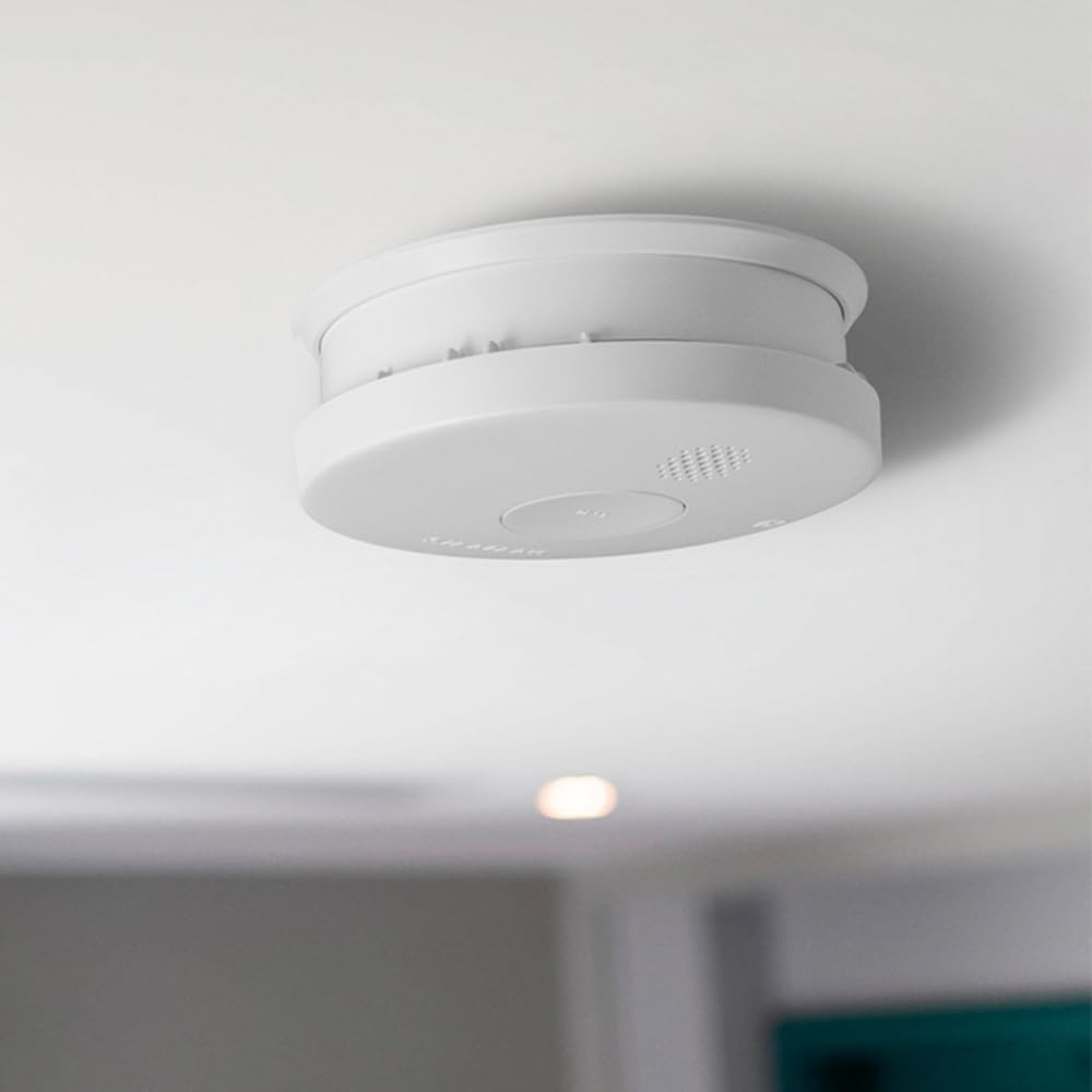 Siemens Delta détecteur fumée NF + monoxyde pack alarme