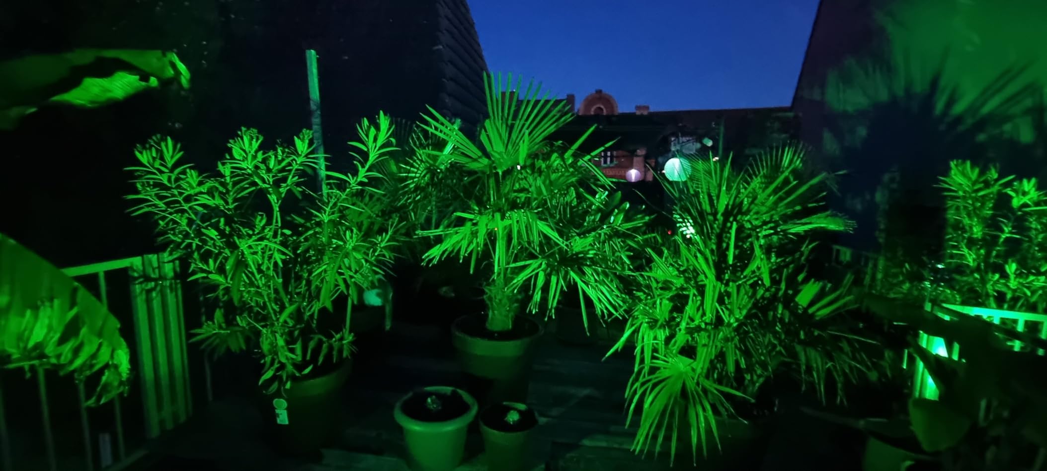 T-Sun Spot Lights spot solaire vert 4 pièces IP65
