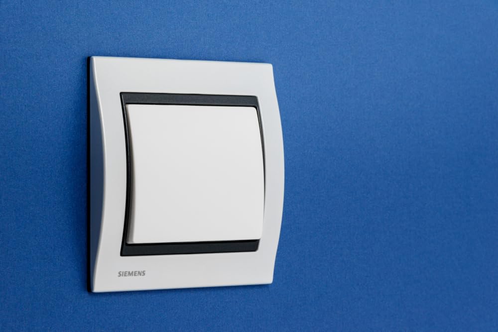Siemens Delta Iris plaque simple métal perle blanc