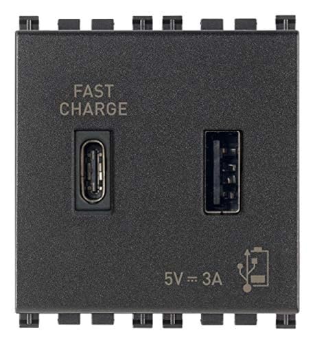 Vimar Arké 19295.AC Prise USB A+C 3A 2 modules gris