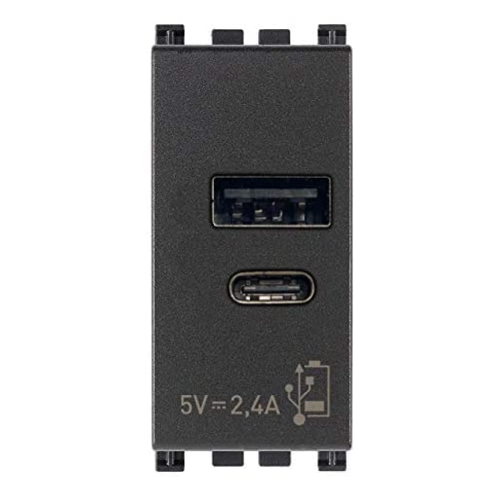 Vimar Arké Alimentation USB 19292.AC Gris A+C 5 V 2,4 A