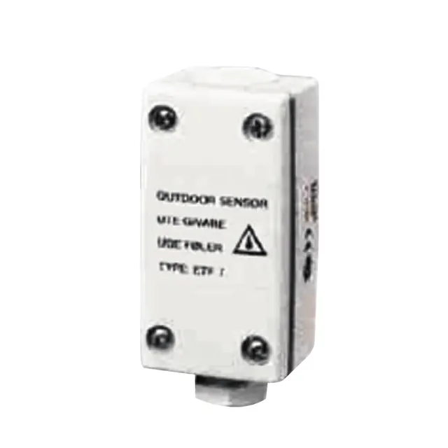 Raytech C2000-STG capteur température gouttières antigel