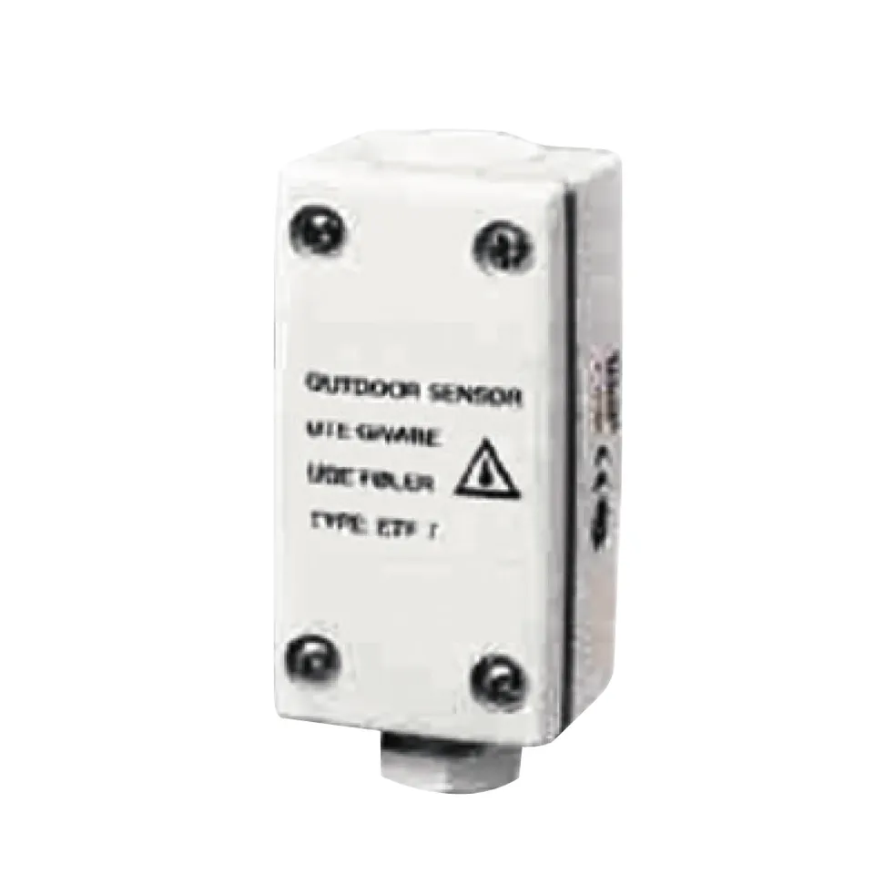 Raytech C2000-STG capteur température gouttières antigel