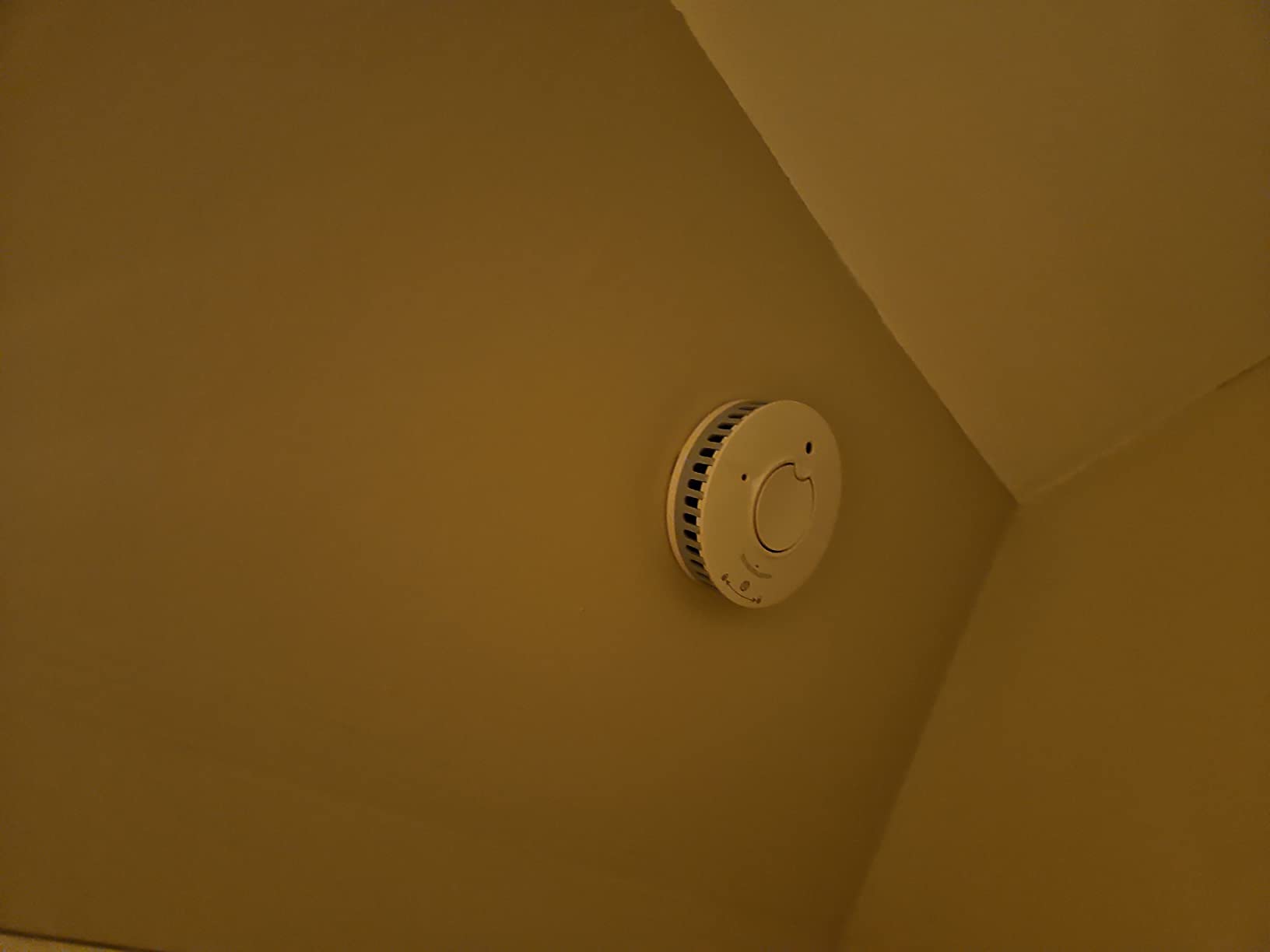 Siemens Delta Reflex 5TC1292-6 détecteur de fumée NF 5 ans