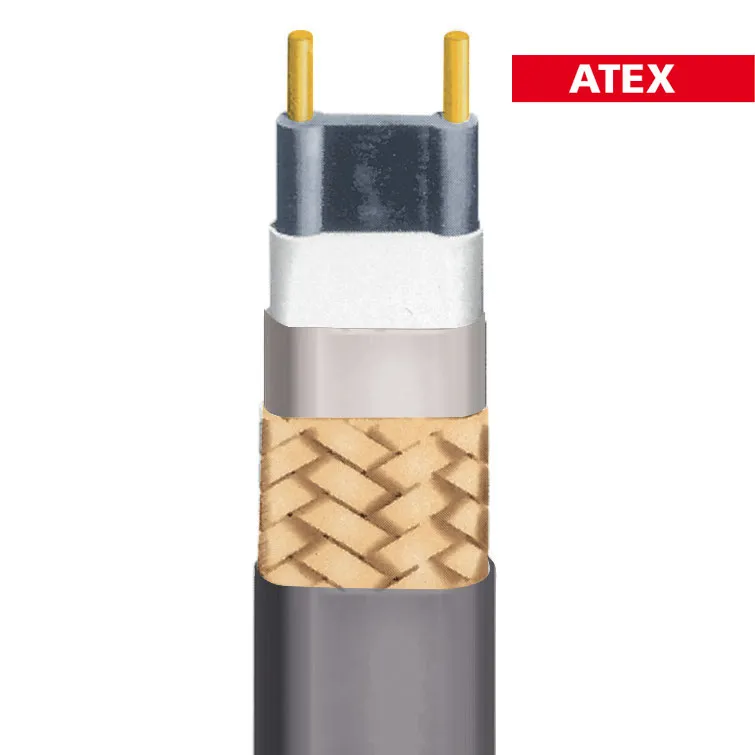 Raytech MCA câble chauffant autorégulant 65°C antigel