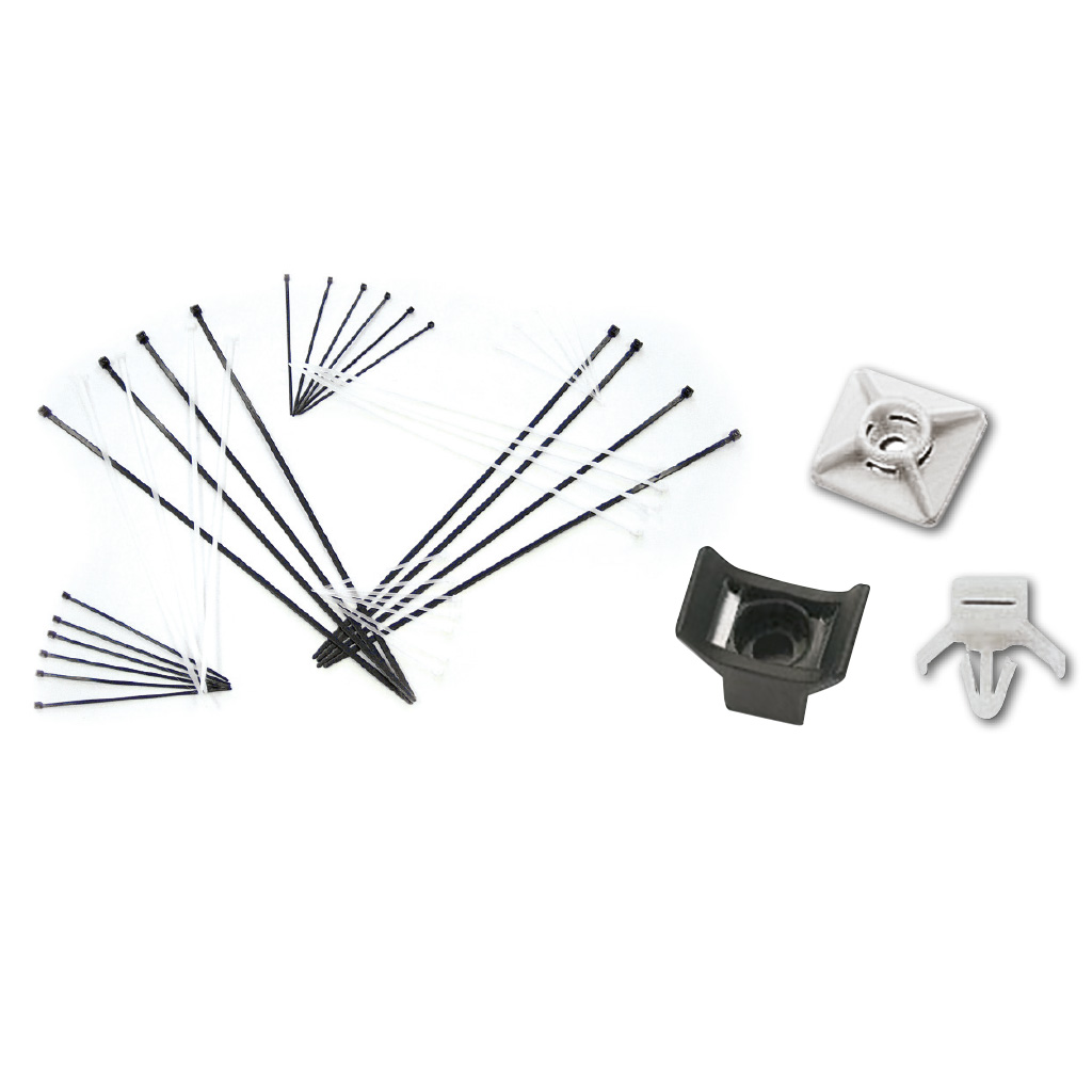 Raytech Specials colliers de serrage nylon noir anti-UV