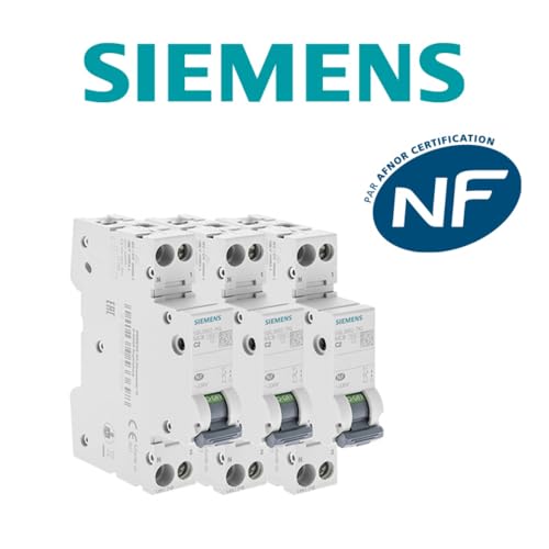 Siemens Sentron lot 3 disjoncteurs 2A phase+neutre courbe C