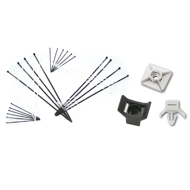 Raytech Specials colliers de serrage nylon noir anti-UV