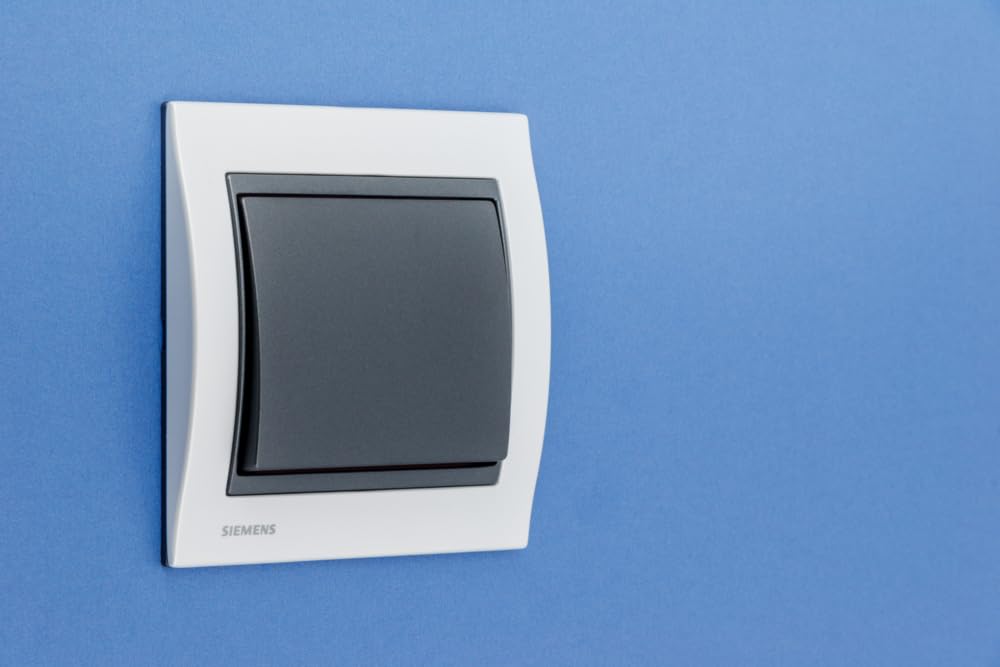 Siemens Delta Iris plaque simple métal perle blanc