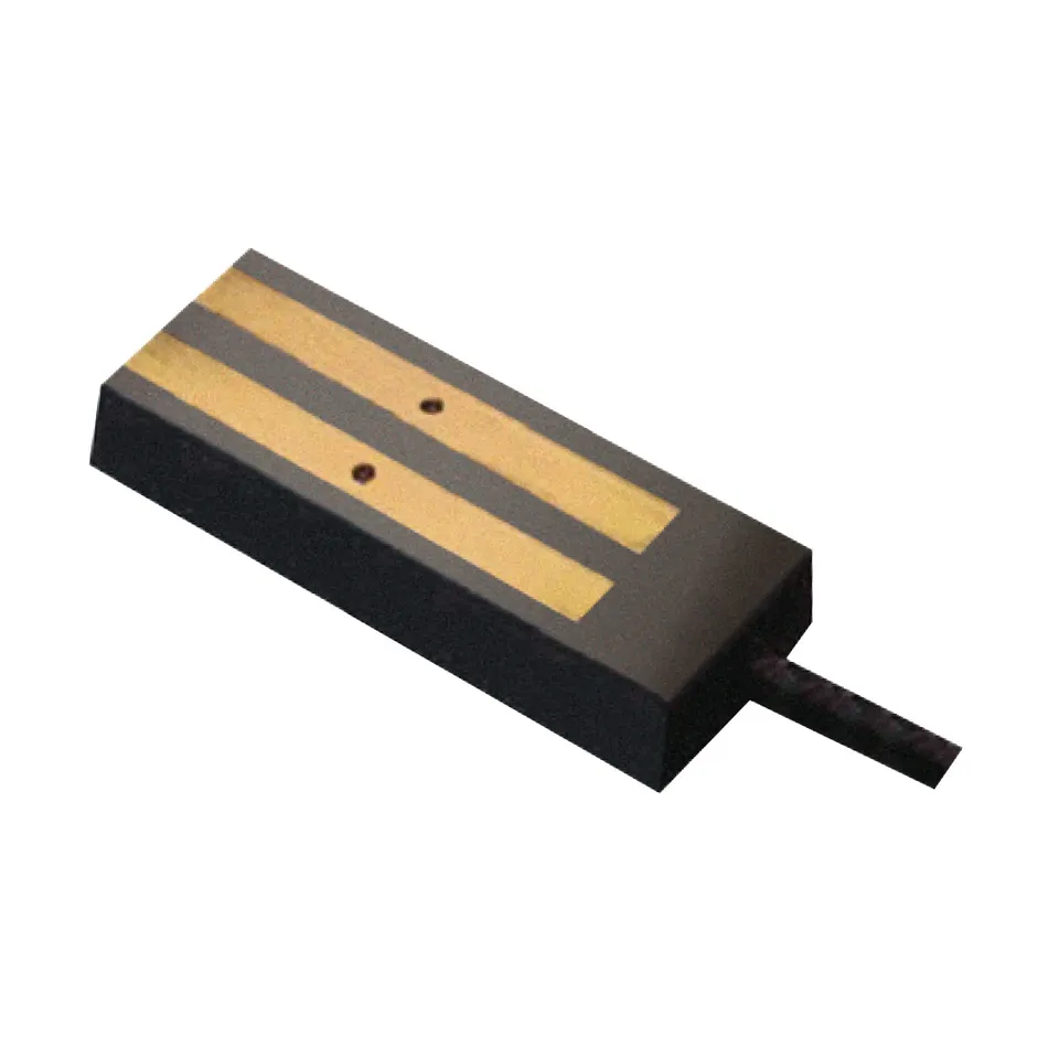 Raytech C2000-SUG Capteur glace et neige pour gouttières