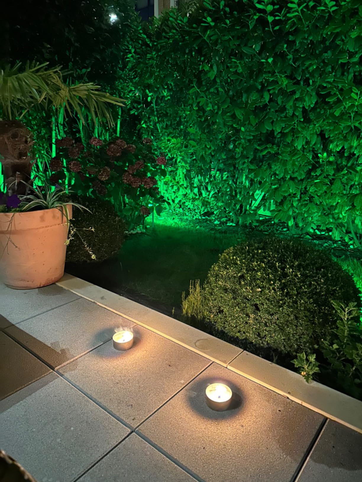 T-Sun Spot Lights 4 spots solaires verts IP65 lot 4